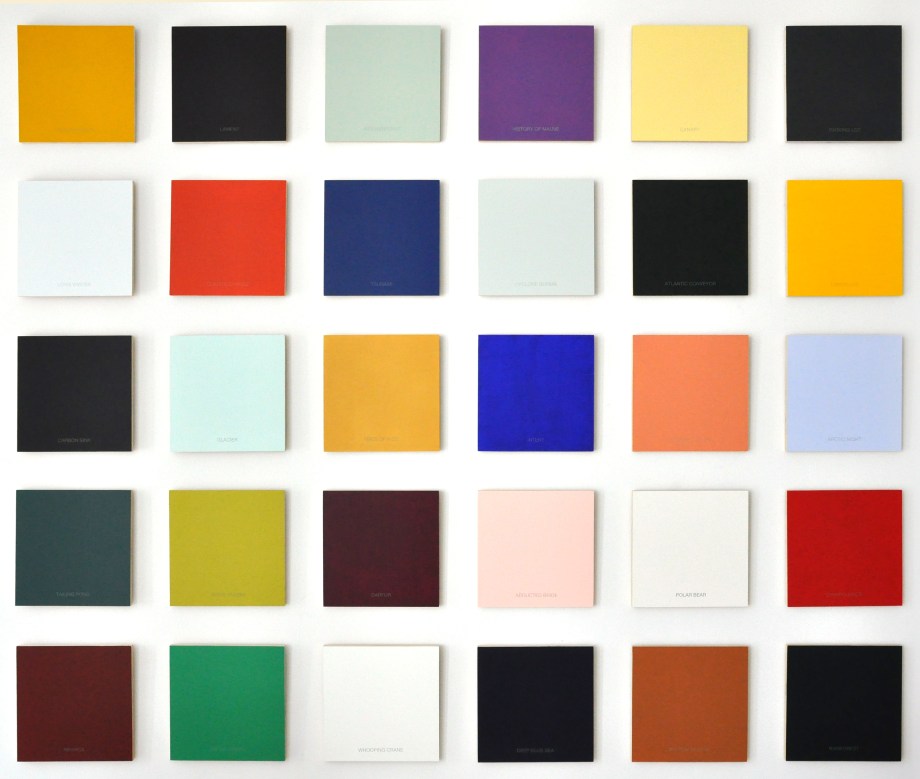 Colour and Meaning: an Incomplete Palette (2007), (set of thirty) acrylic/silkscreen/panel, 12" x 12" ea.